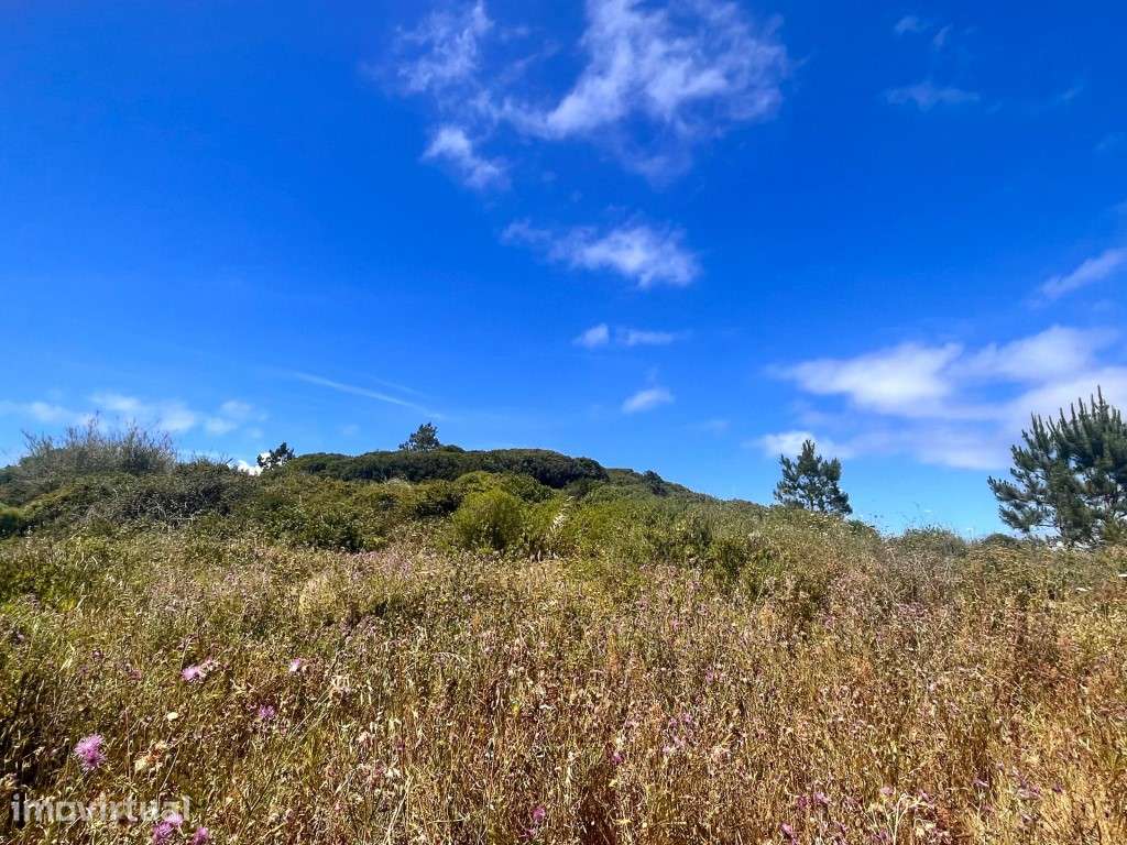 Terreno urbano com 1150m2 na Serra do Bouro, muito perto de Salir d... - Grande imagem: 3/15