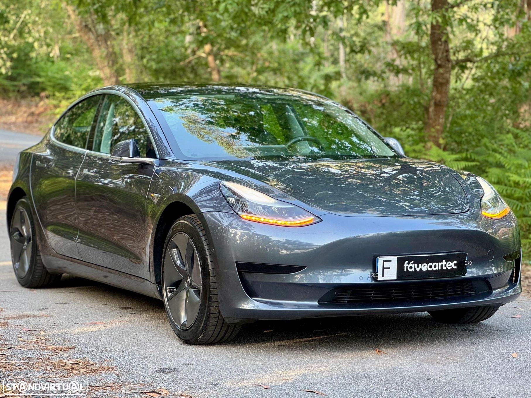 Tesla Model 3 Standard Range Plus RWD - 11