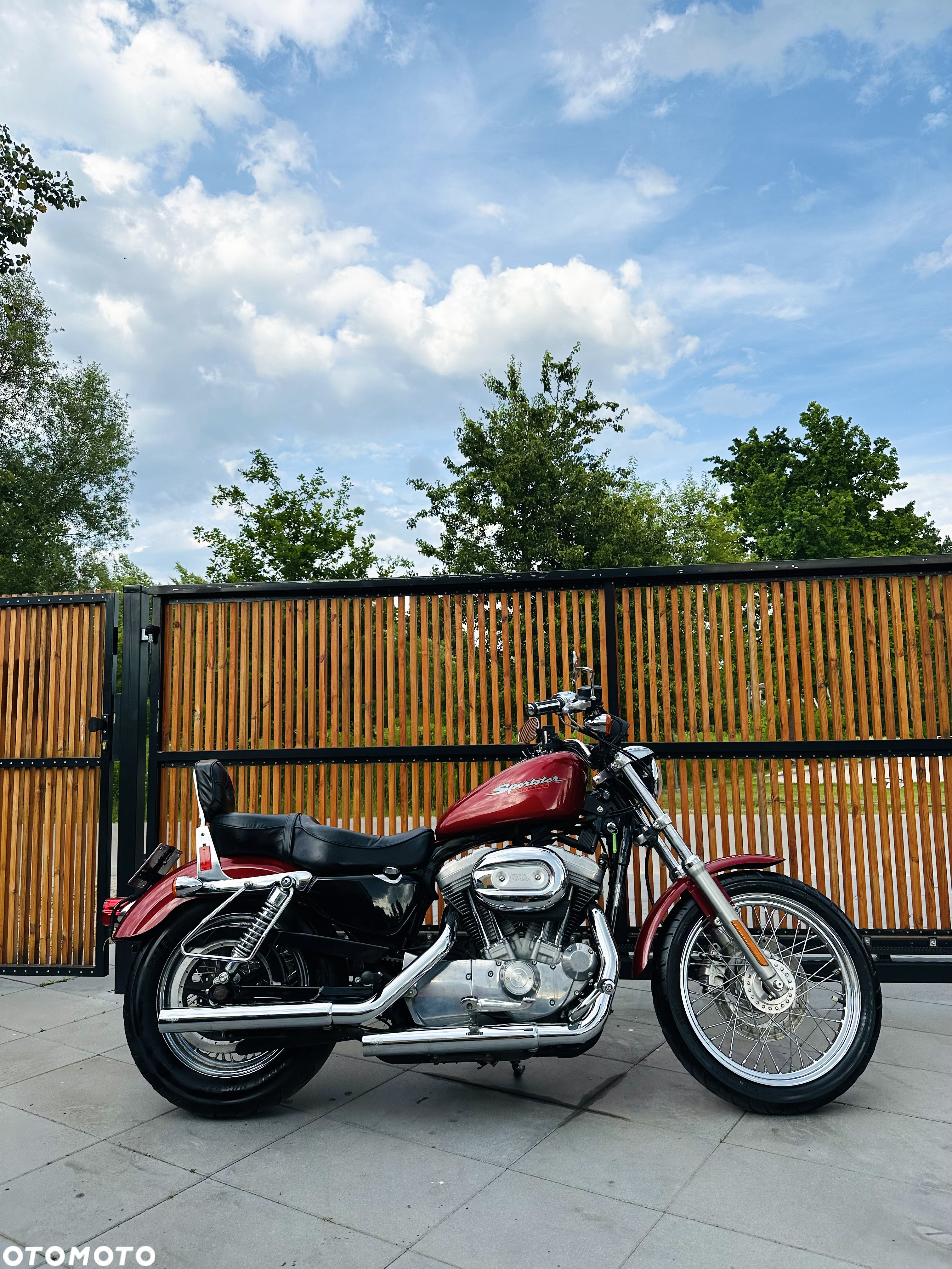 Harley-Davidson Sportster Custom 883C - 2