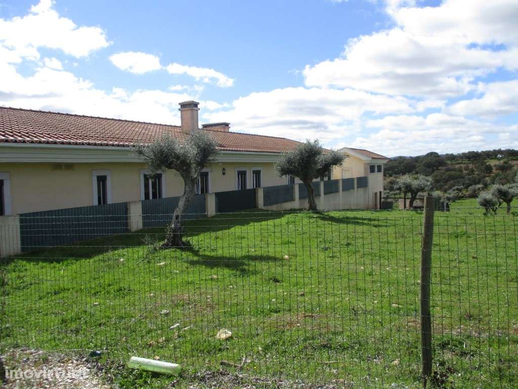 Monte Alentejano com 2,5 ha de vinha - Estremoz - Grande imagem: 4/33