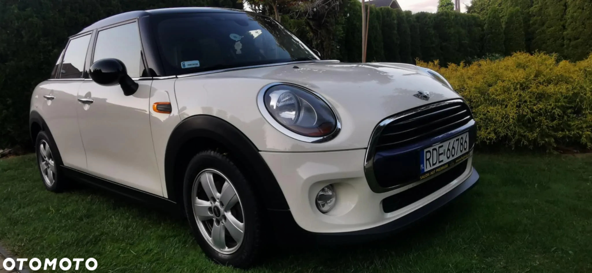 MINI ONE D - 3