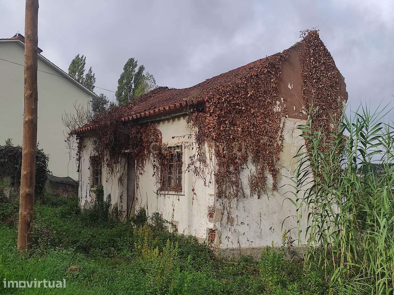 Terreno com Ruína para Reabilitação – Abadia, Cortes, Leiria - Grande imagem: 3/30