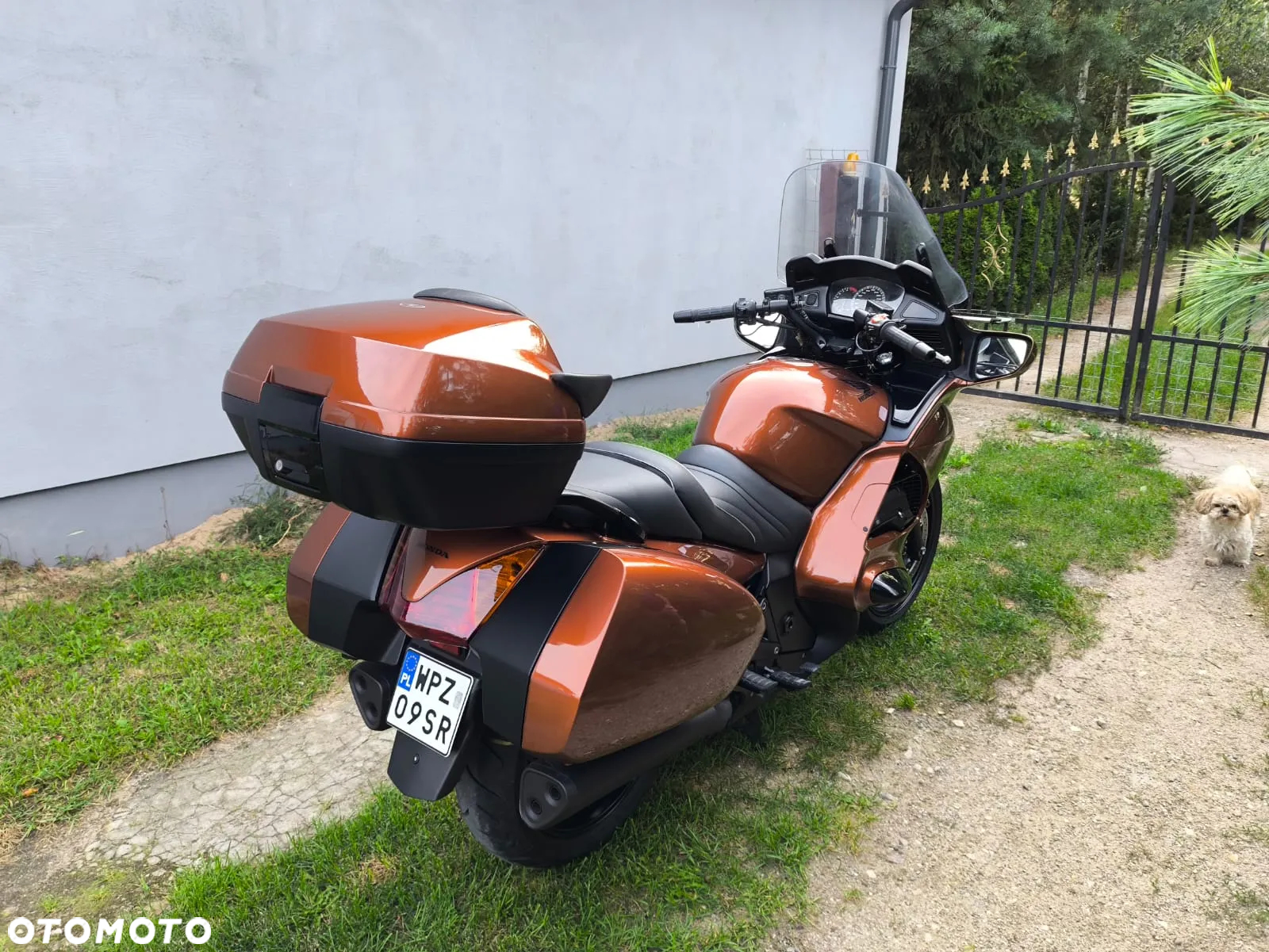 Honda ST - 9