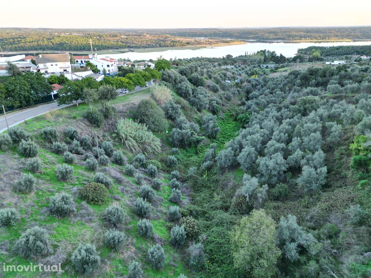 Terreno  Venda em Montargil,Ponte de Sor - Grande imagem: 3/10