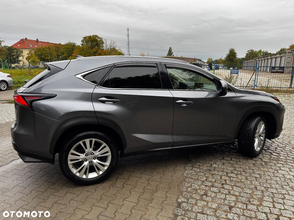 Lexus Nx 2018 photo 4