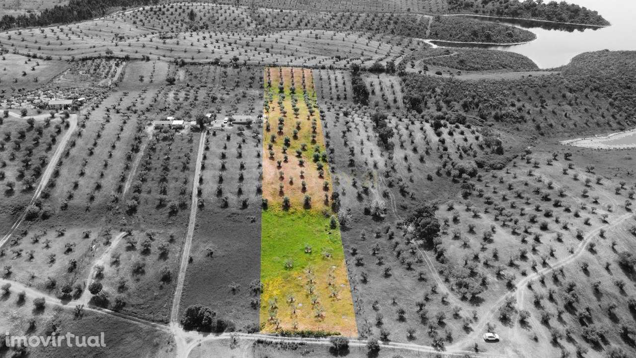 Terreno Rústico na Região de Portel, junto à Vila do Alqueva - Grande imagem: 2/20