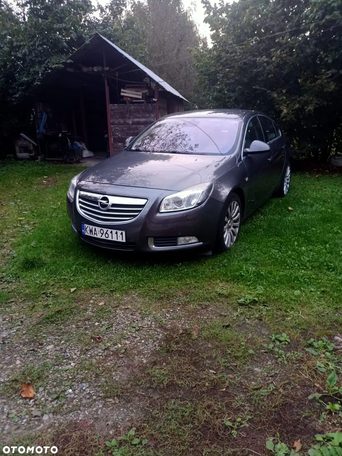 Opel Insignia 2.0 CDTI - 1