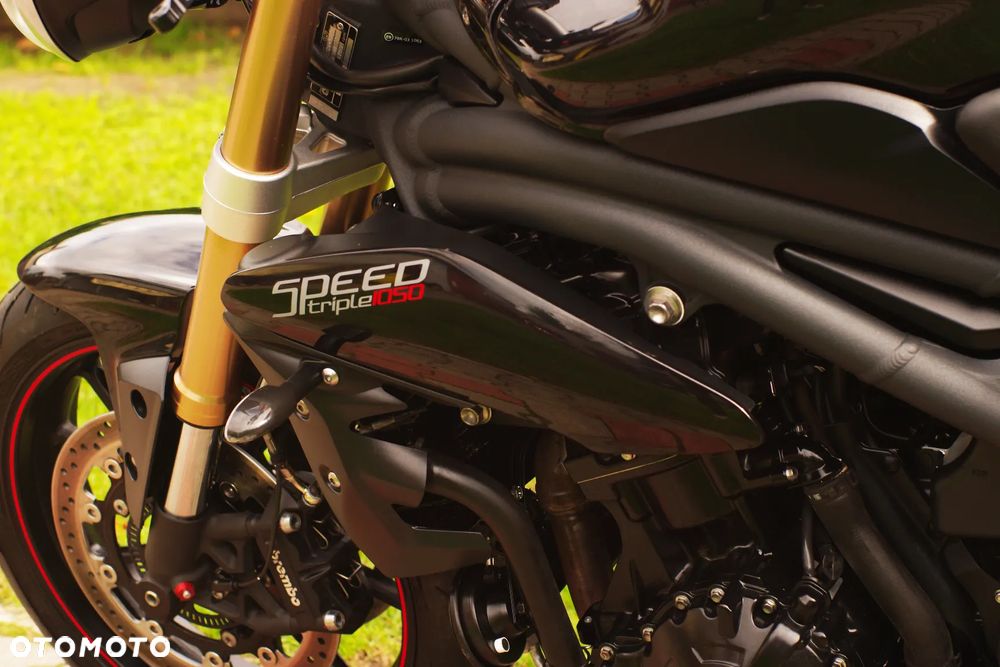 Triumph Speed Triple - 32