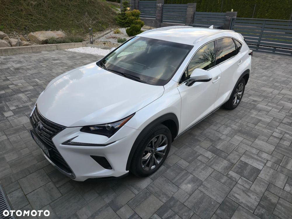 Lexus NX 300 GPF Comfort AWD - 5