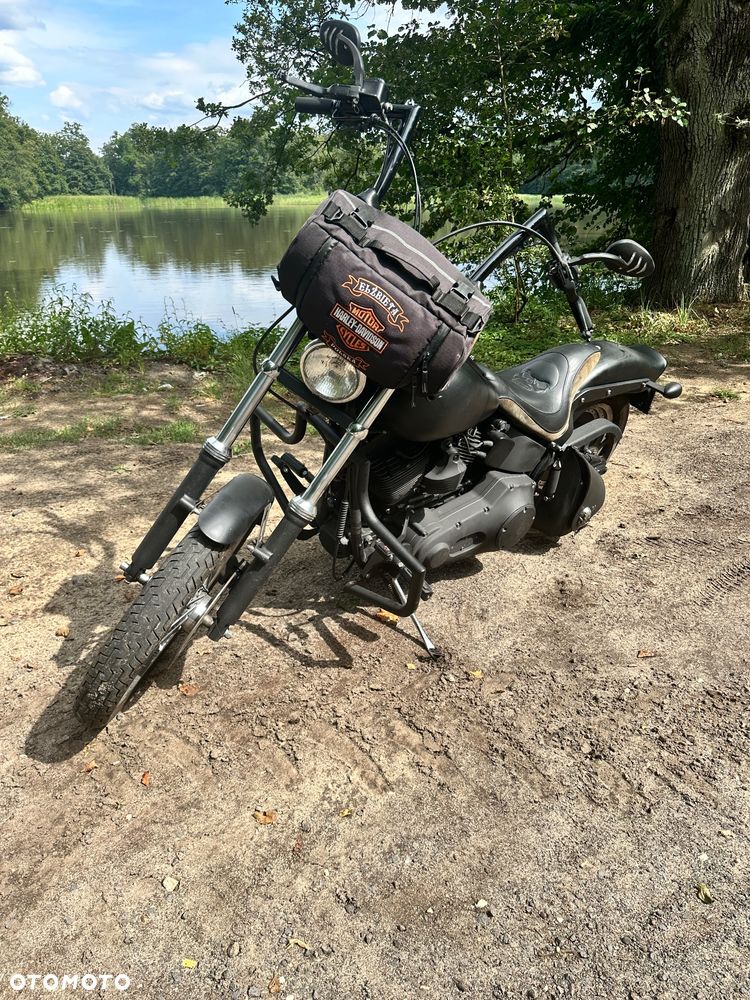 Harley-Davidson Softail Custom - 2