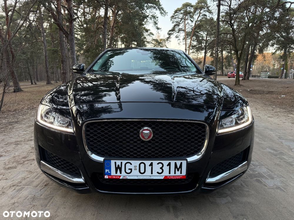Jaguar XF 3.0 TDV6 Portfolio - 15
