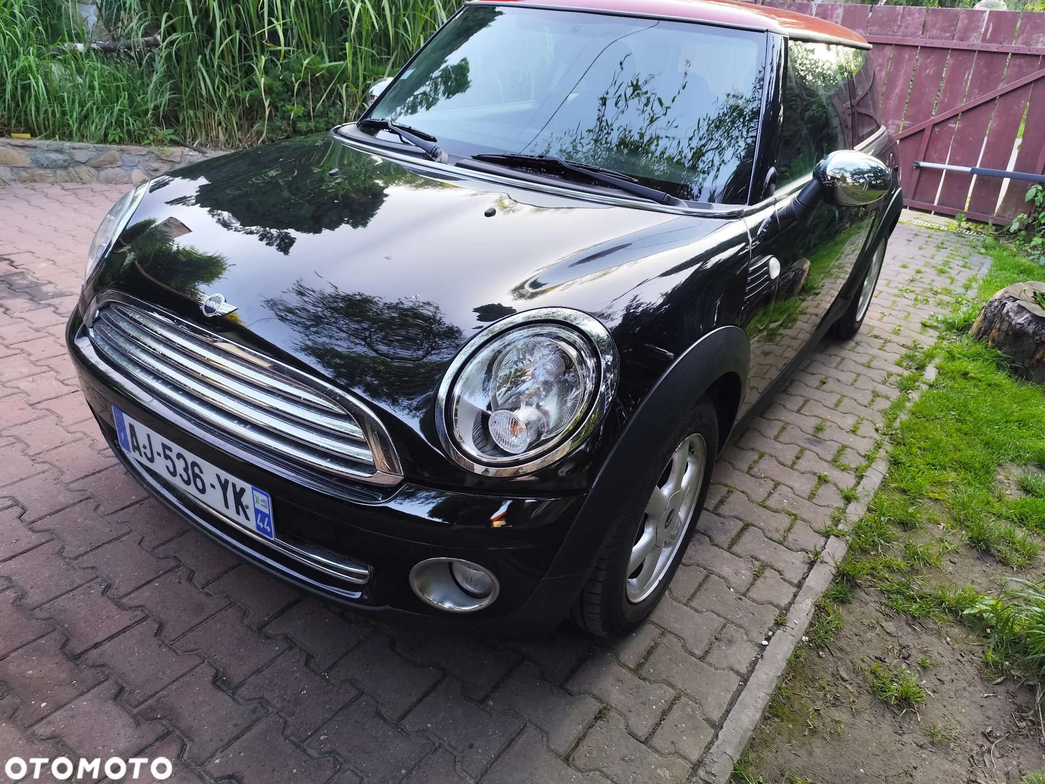 MINI ONE Standard - 2