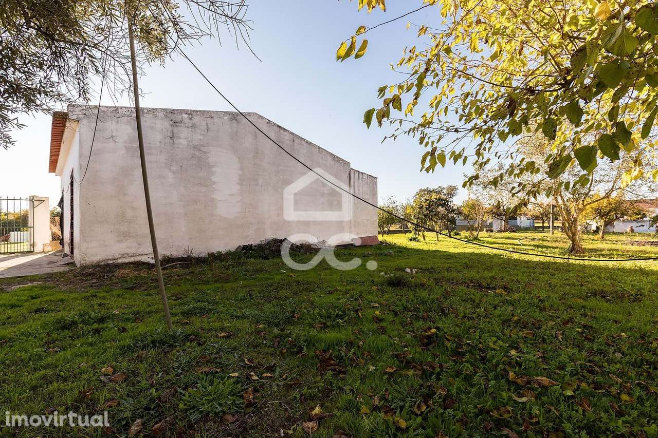 Terreno de  1.350 m² c/ Anexo de Apoio Agrícola | Canaviais, Évora - Grande imagem: 4/46