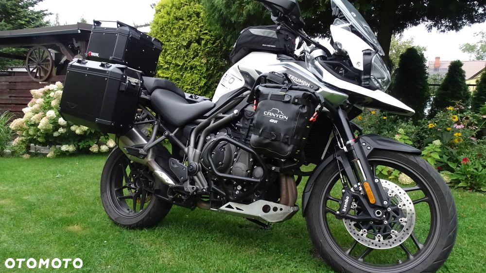Triumph Tiger - 11