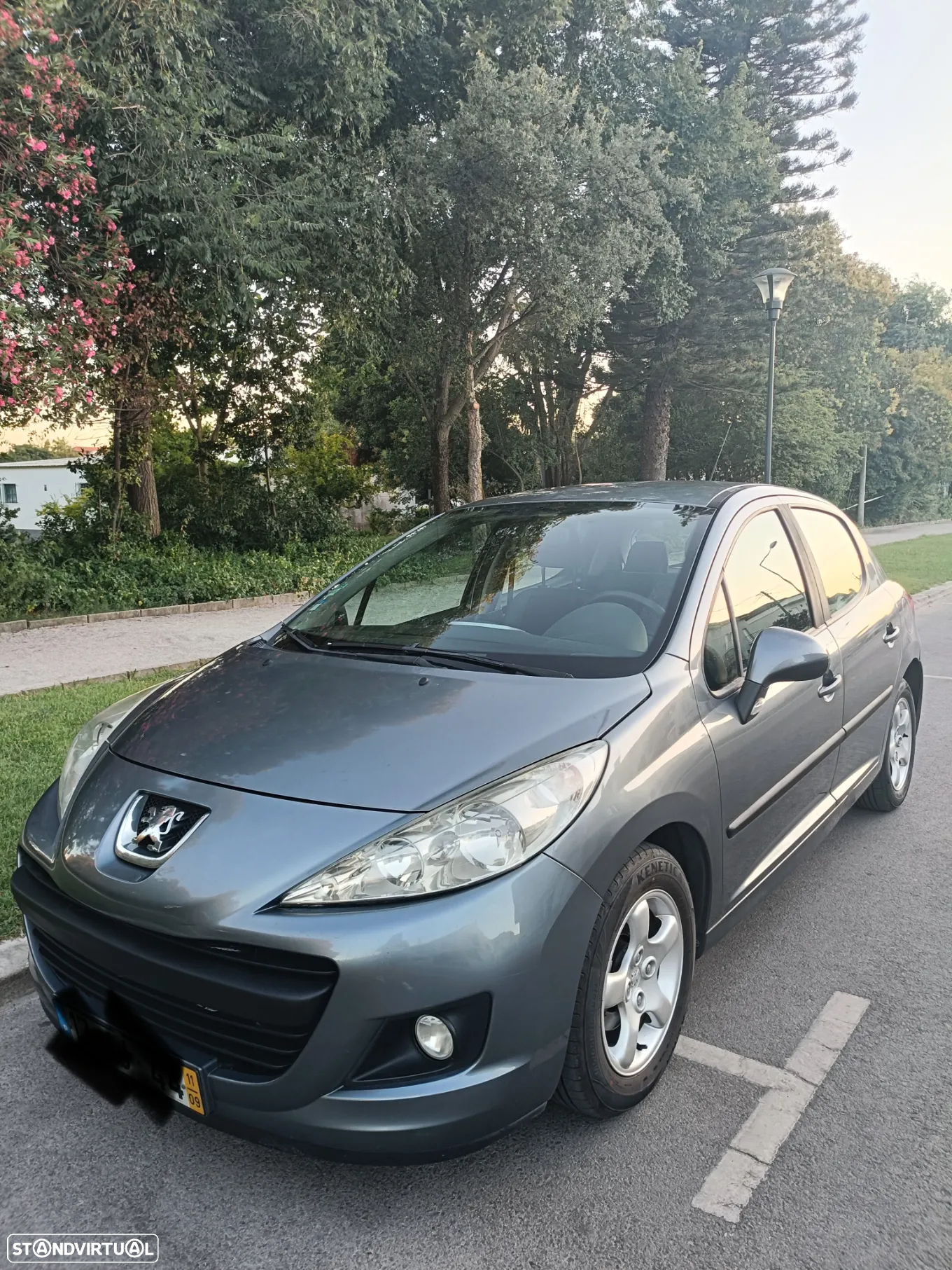 Peugeot 207 - 7