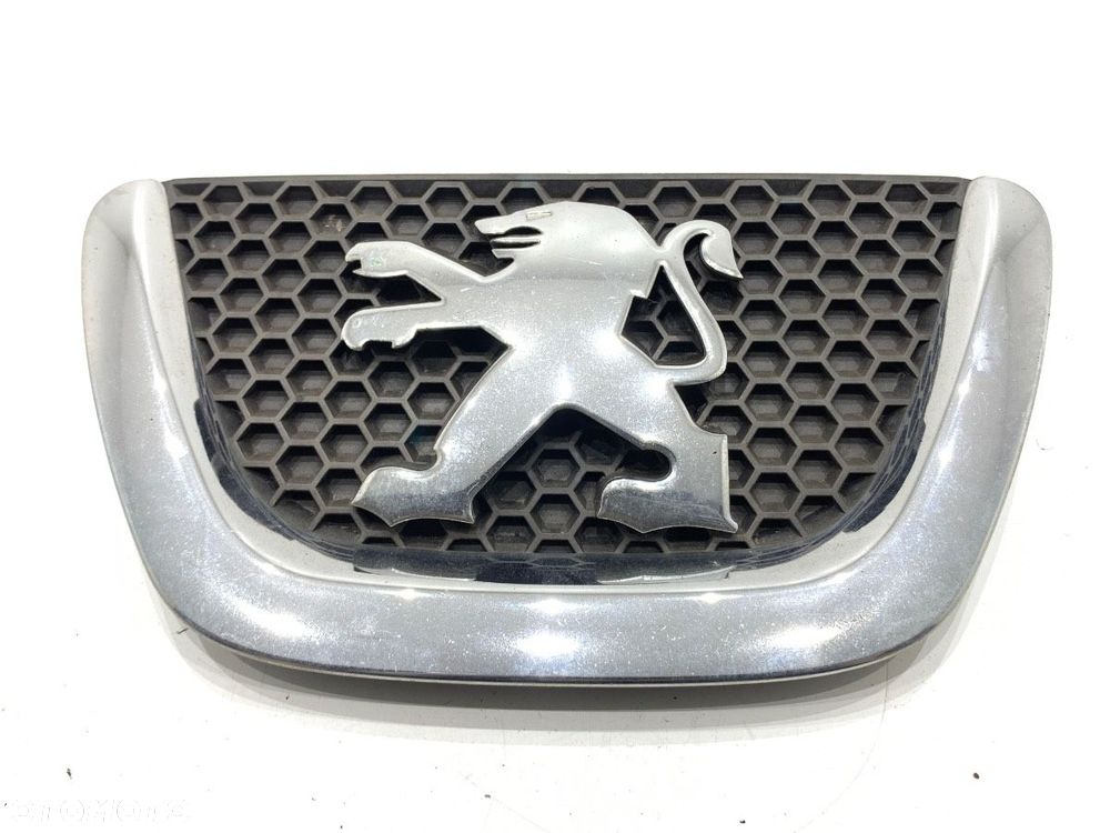 ATRAPA GRILL  PEUGEOT 307 (3A/C) 2000 - 2012 1.6 16V 80 kW [109 KM] benzyna 2000 - 2007 9653466777 - 1