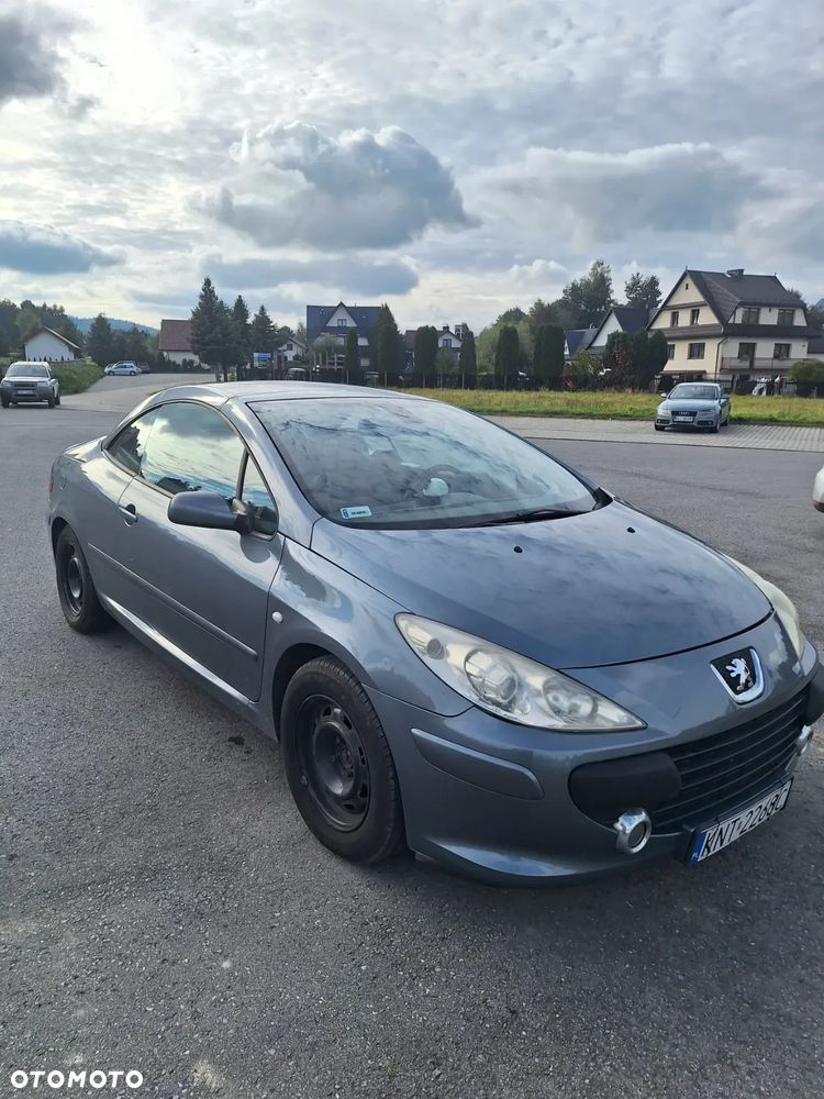 Peugeot 307 CC 2.0 - 9