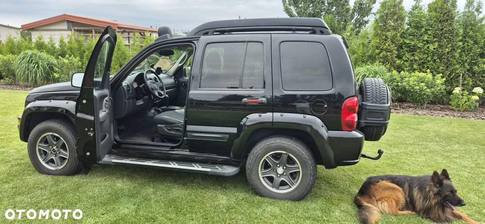 Jeep Renegade - 2