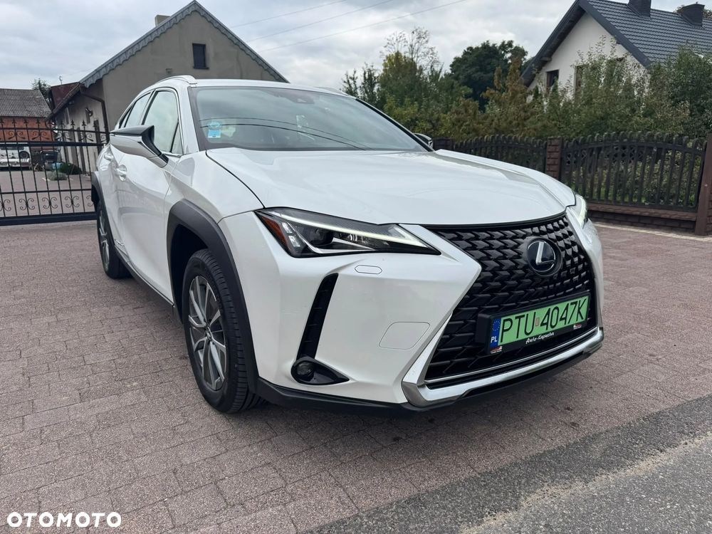Lexus UX 300e 54.3 kWh Prestige 2WD - 12