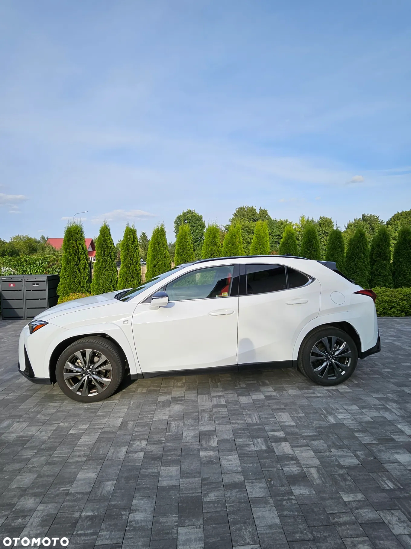 Lexus UX 250h GPF F Sport 2WD - 2