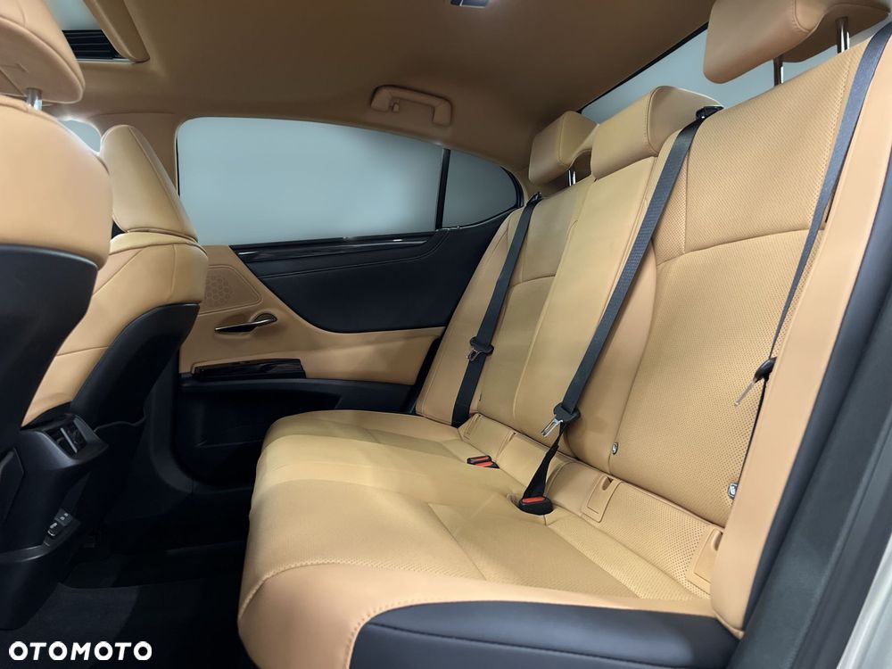 Lexus ES 300h Business Edition - 14