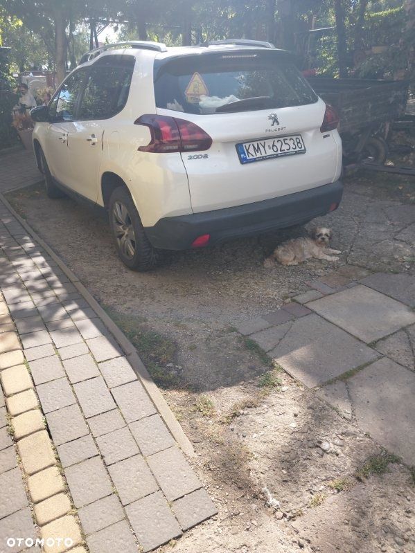 Peugeot 2008 - 5