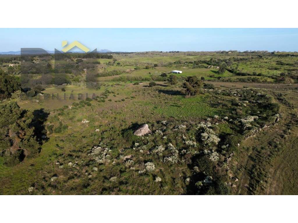 Terreno rústico à venda em São Miguel de Acha! - Grande imagem: 4/15