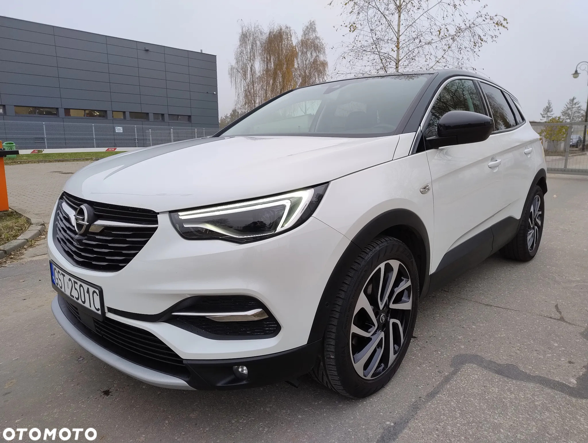 Opel Grandland X 1.6 CDTI Ultimate S&S - 3
