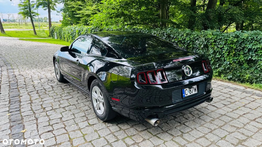Ford Mustang 3.7 V6 - 5