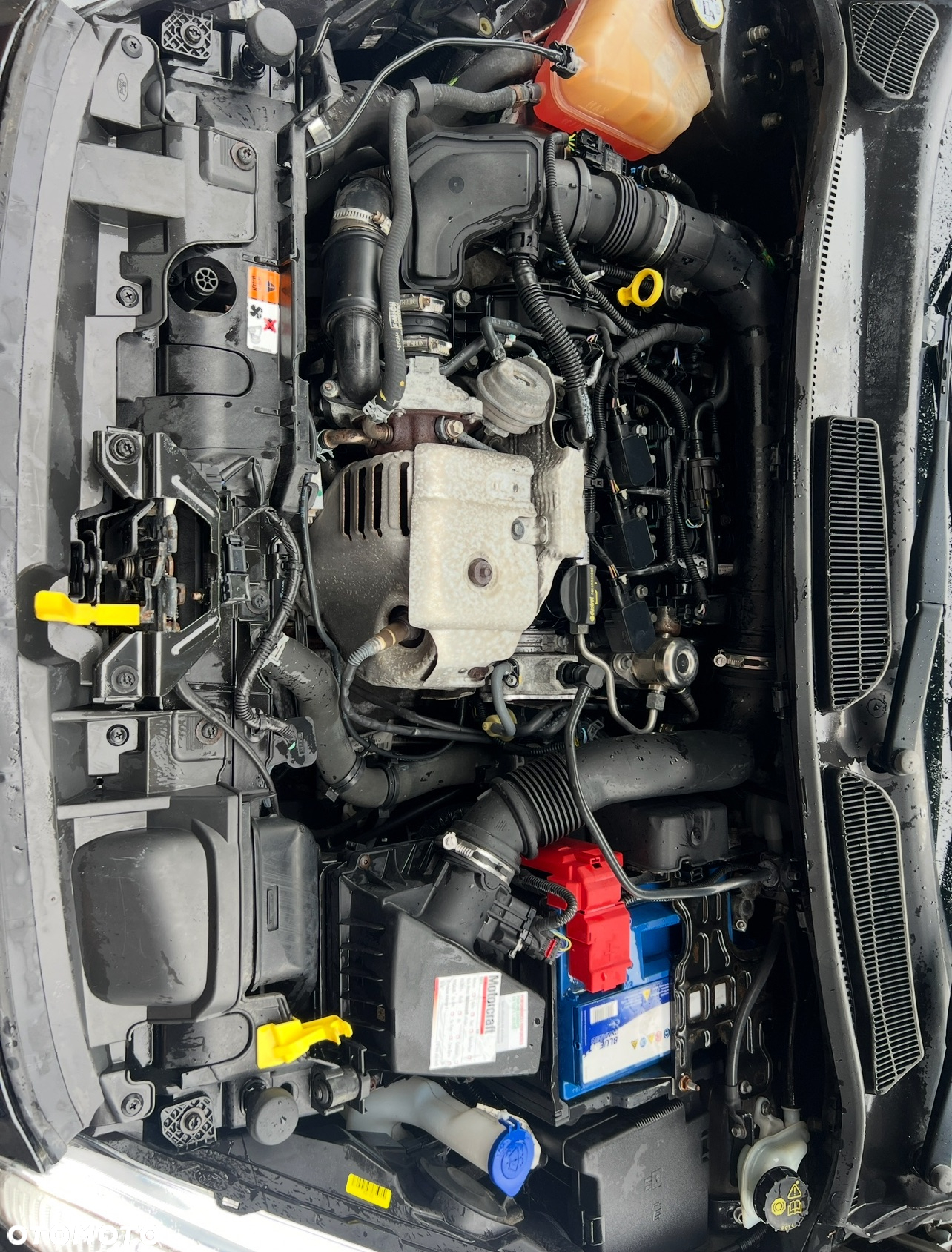 Ford Fiesta 1.0 EcoBoost Start-Stop Titanium - 13