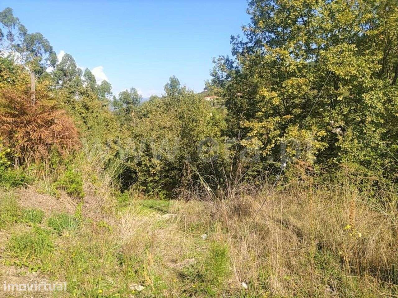Terreno / Cinfães, Santiago de Piães - Grande imagem: 3/9