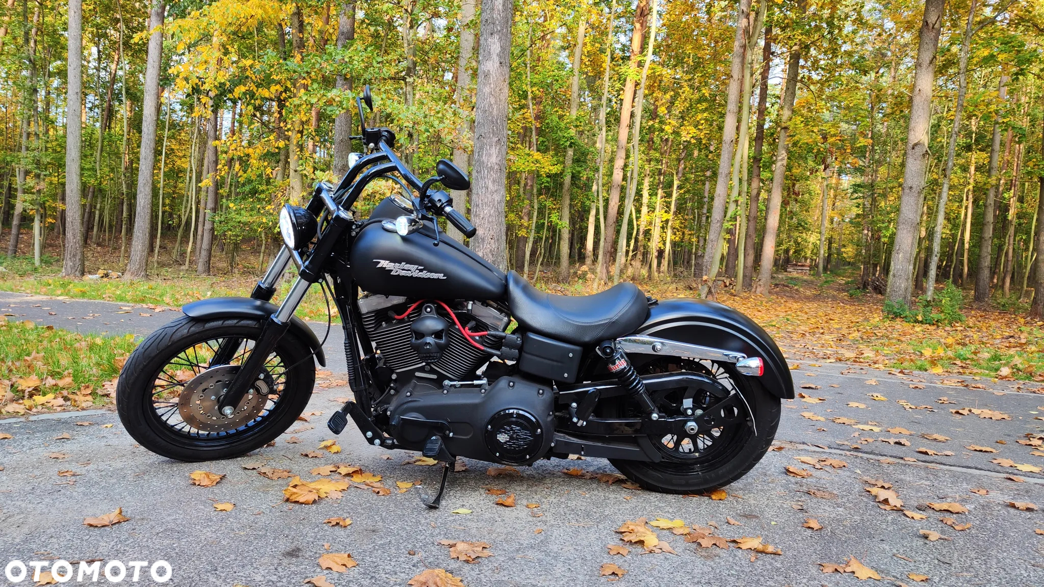 Harley-Davidson Dyna Street Bob - 3