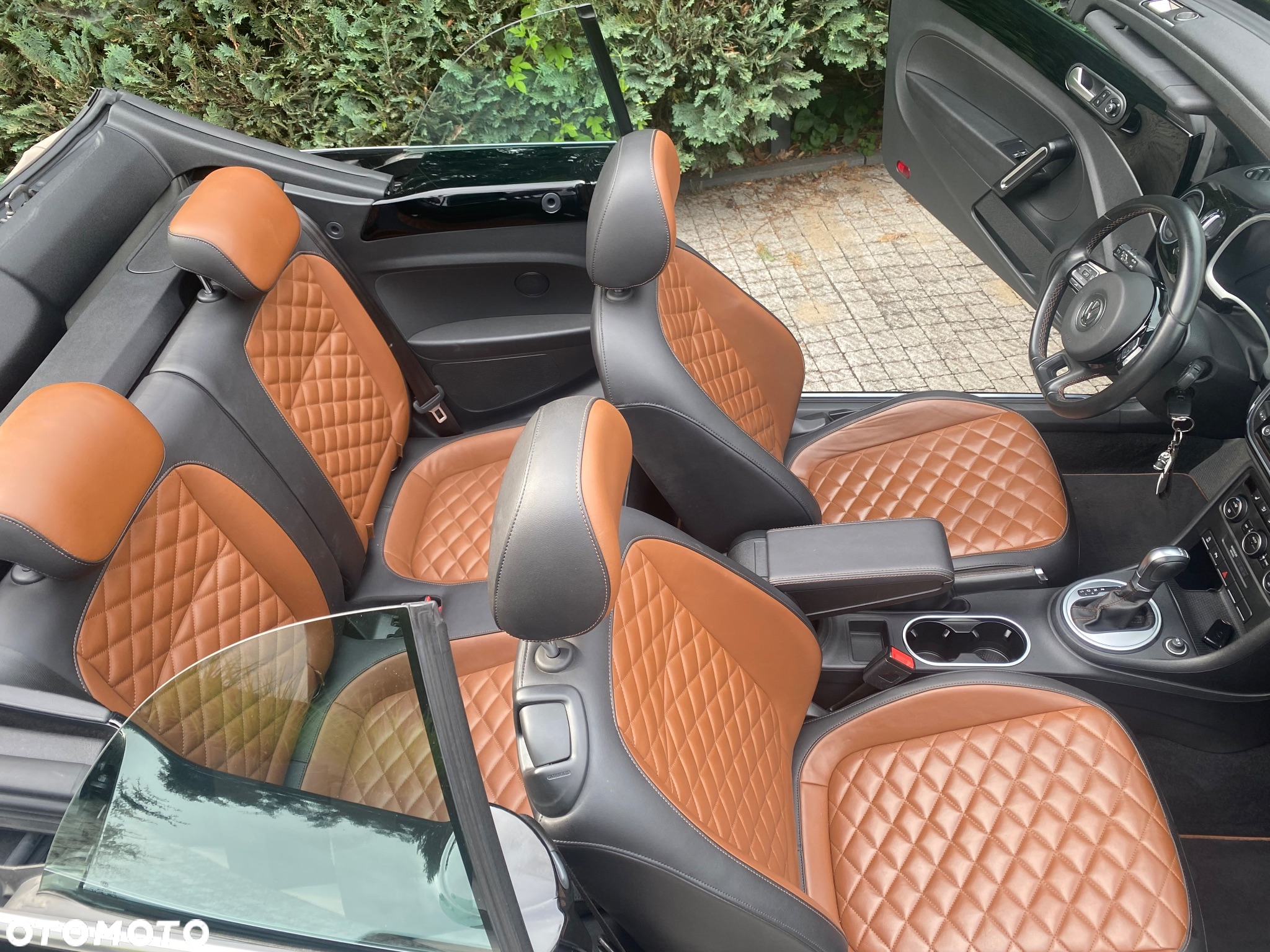 Volkswagen Beetle - 15