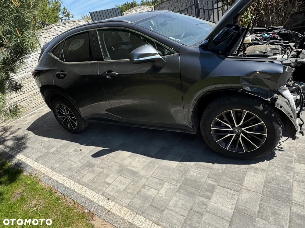 Lexus NX 350h Business 2WD - 6