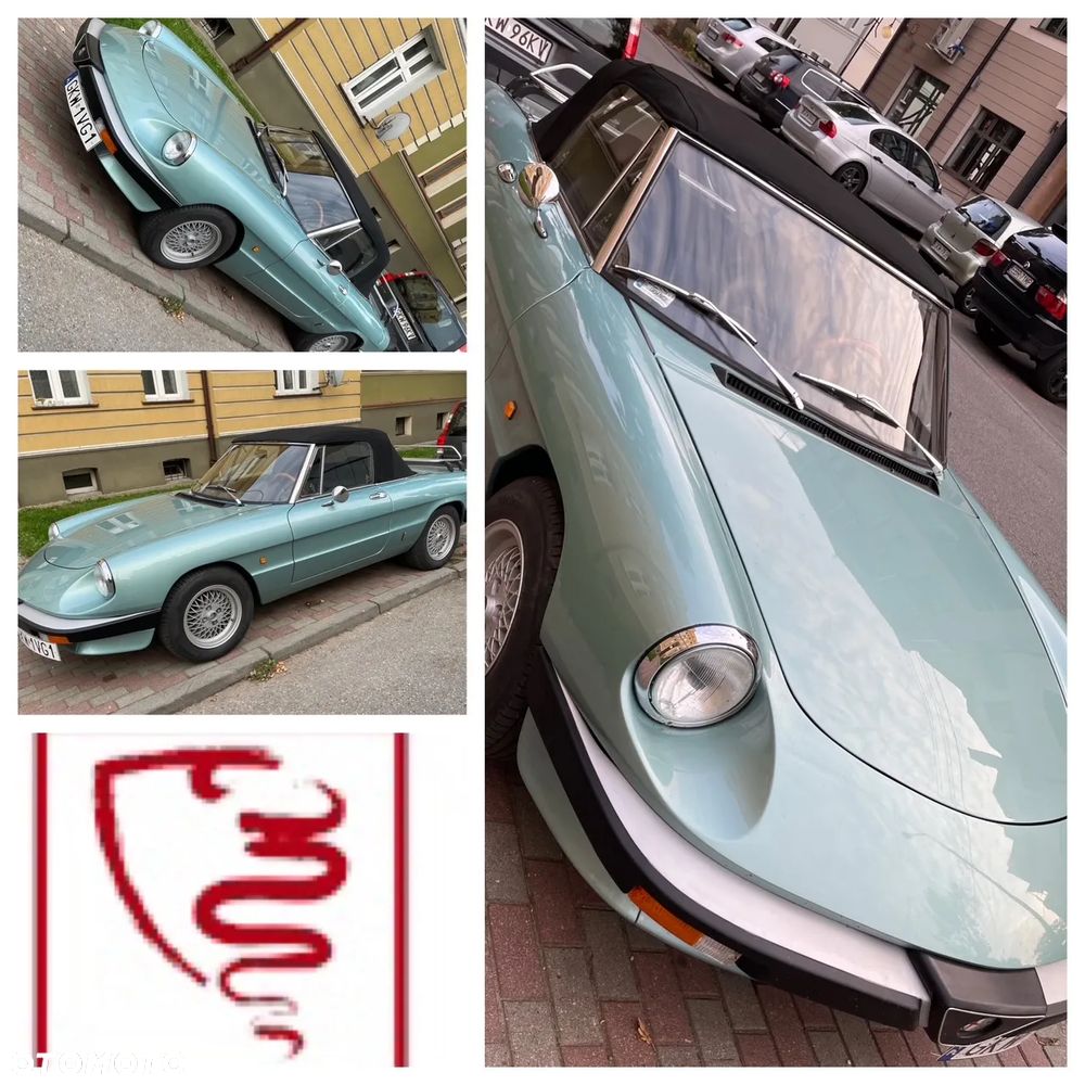 Alfa Romeo Spider - 3