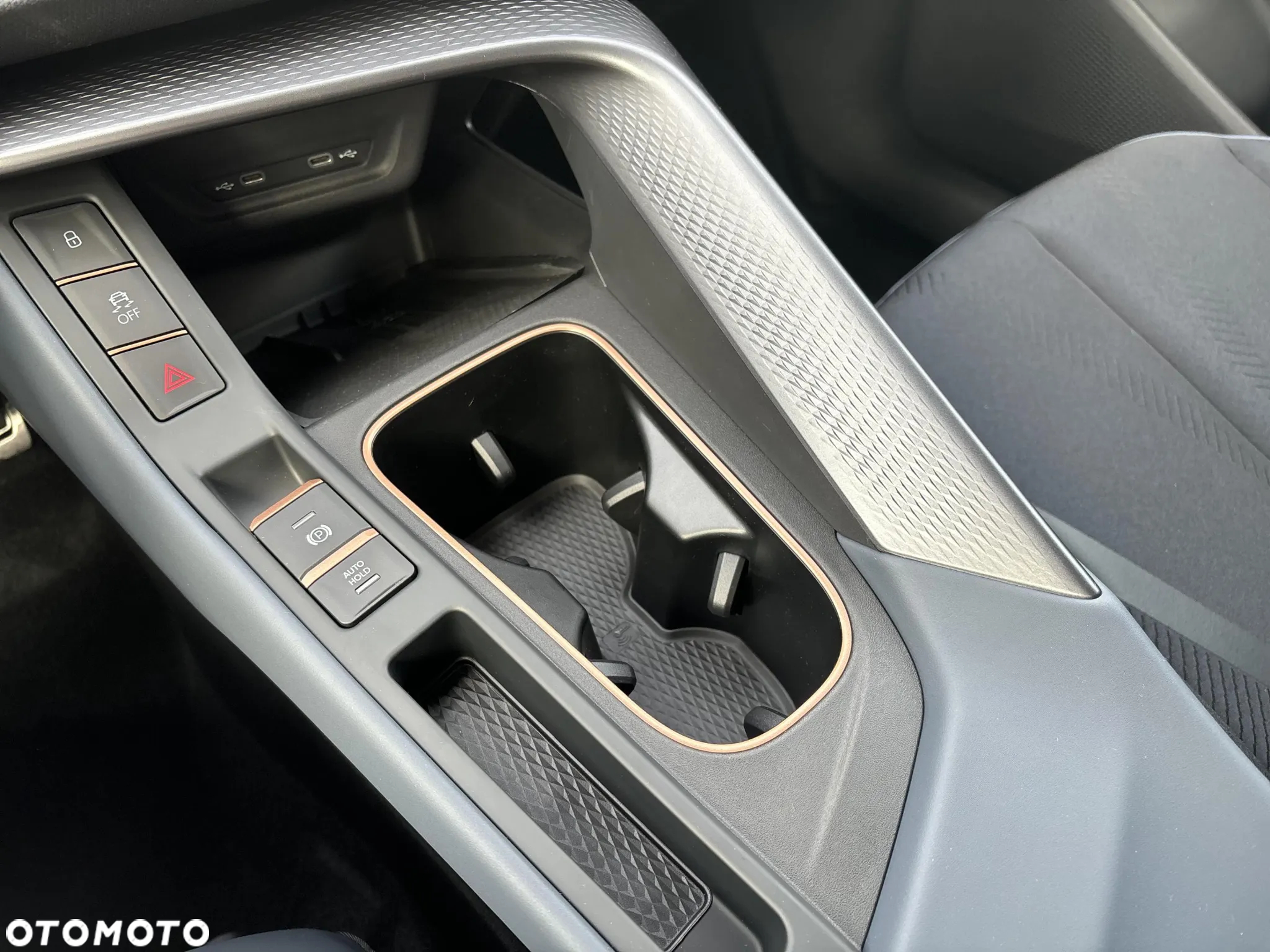 Cupra Terramar - 20