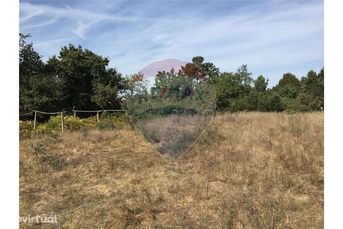 Terreno T0 para Venda - Grande imagem: 3/7