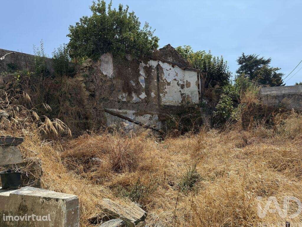 Terreno para construção em Peso da Régua e Godim - Grande imagem: 4/6