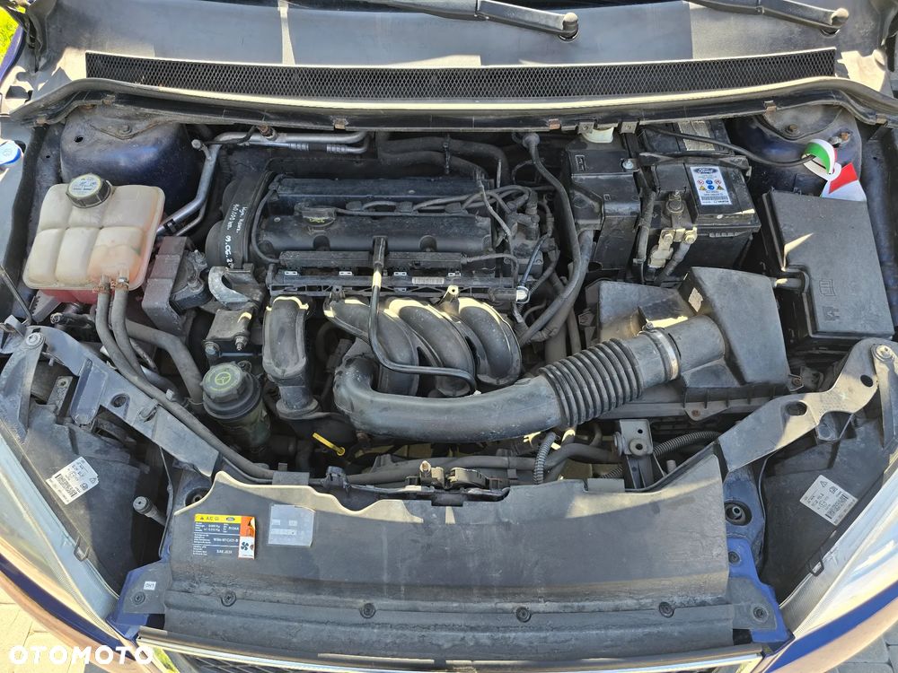 Ford Focus - 25
