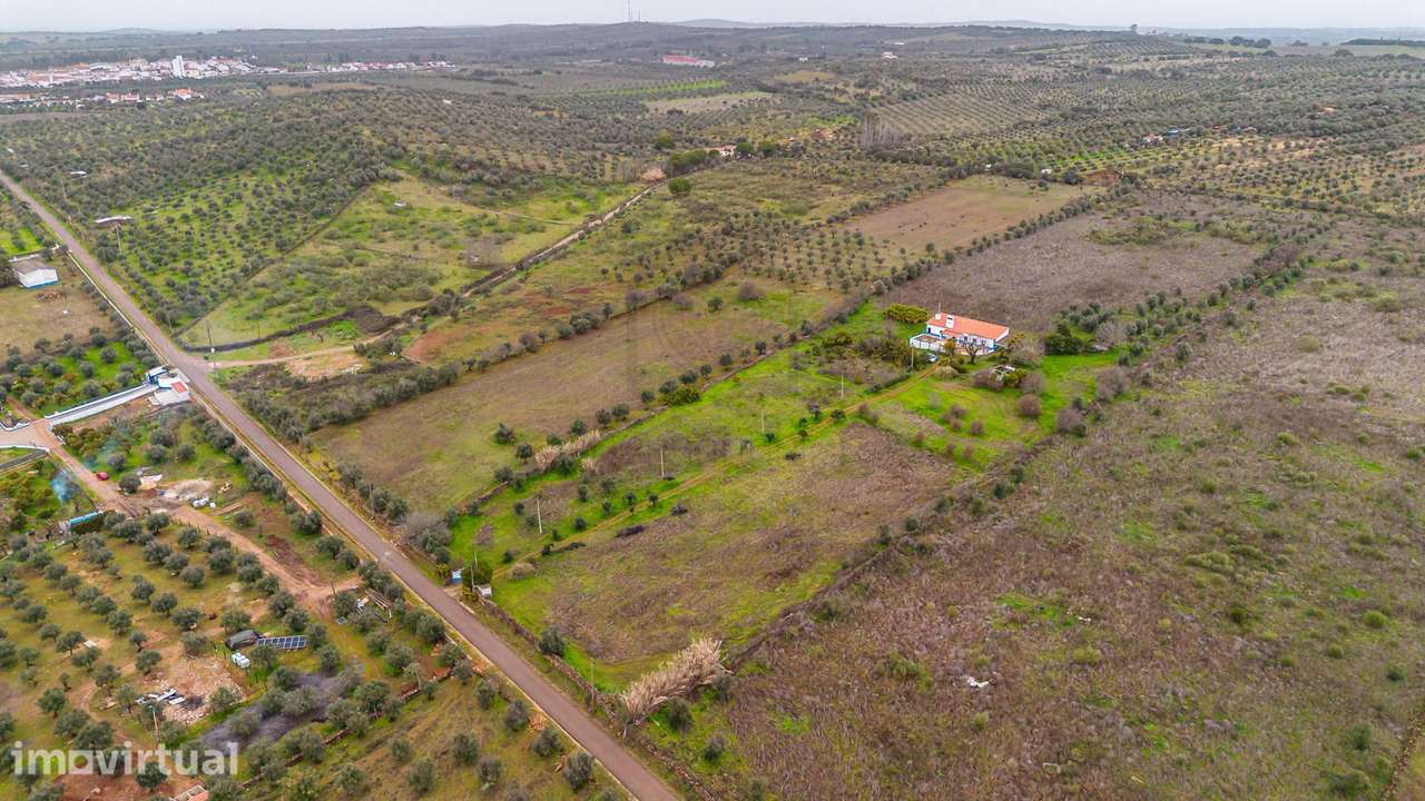 Herdade Proximo a Elvas - Grande imagem: 5/46