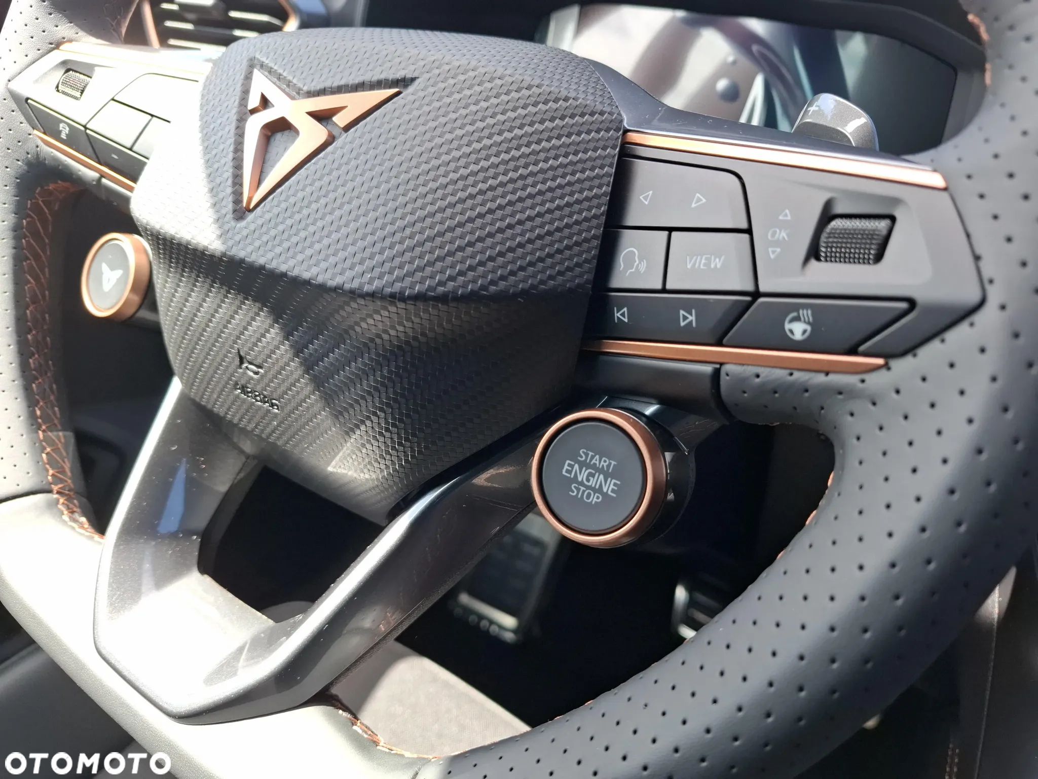 Cupra Formentor 1.5 TSI DSG - 17