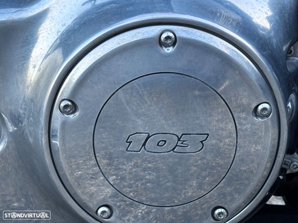 Harley-Davidson Softail FLS 103 Softail Slim - 9