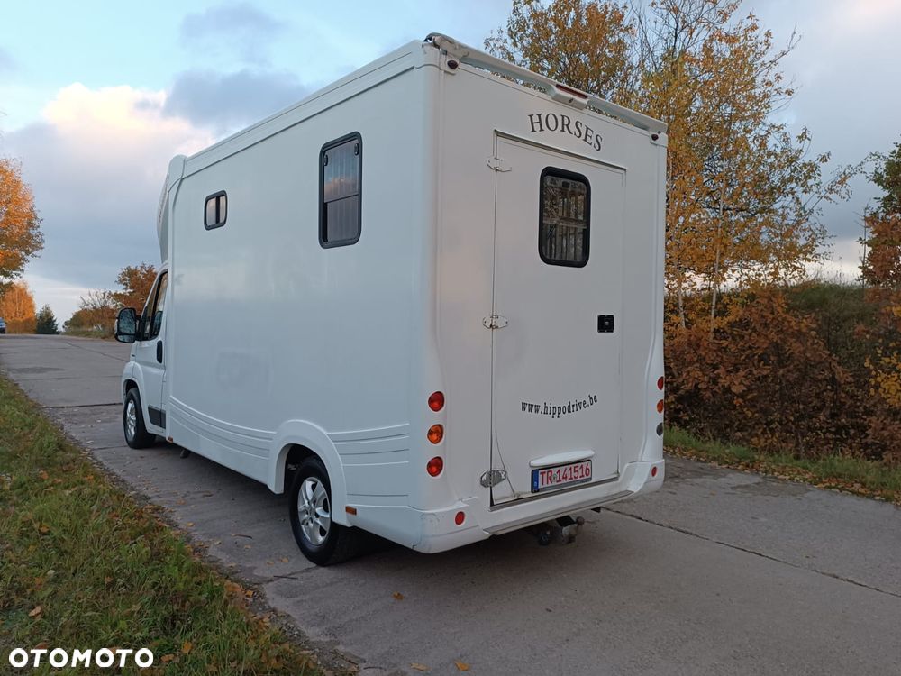 Fiat Ducato  2.3 Klima Koniowóz 2-konie - 8