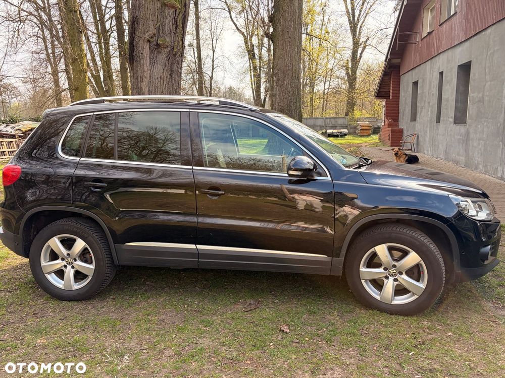 Volkswagen Tiguan - 1