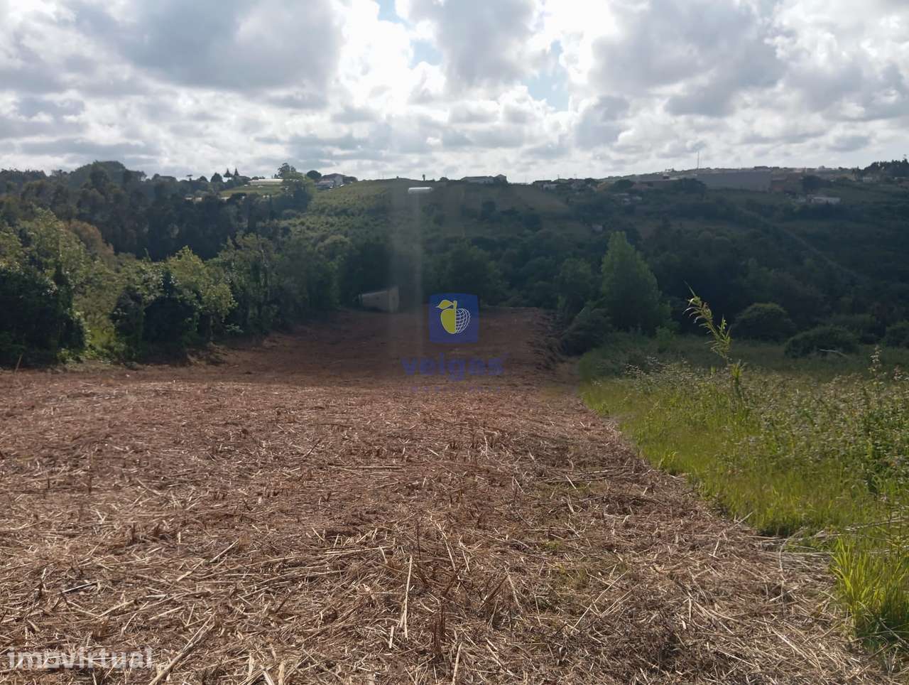 Terreno com 4.920m2, com PDM de Construção, em Zona Calma e com uma Ex - Grande imagem: 2/8