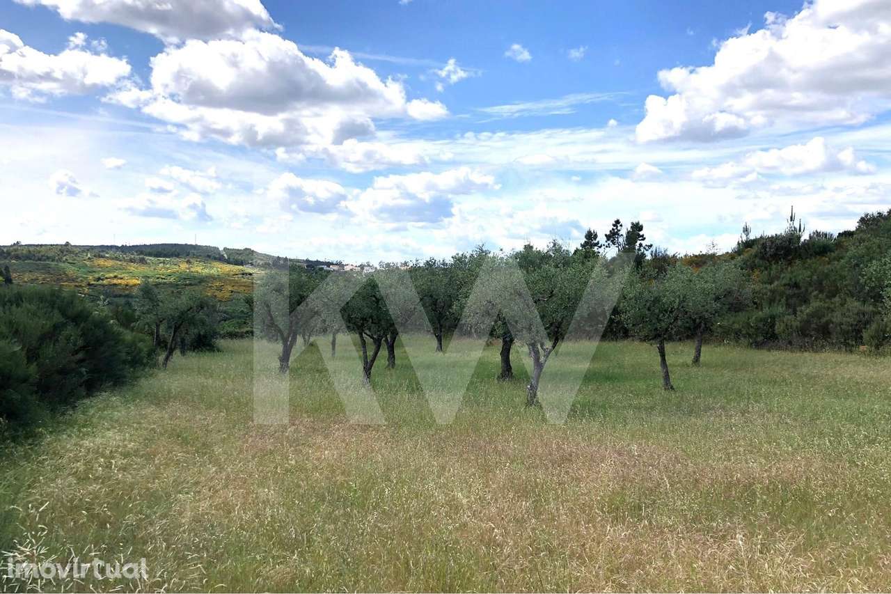 Terreno agrícola com Casa de arrumos para reconstrução | Bom acesso - Grande imagem: 2/11