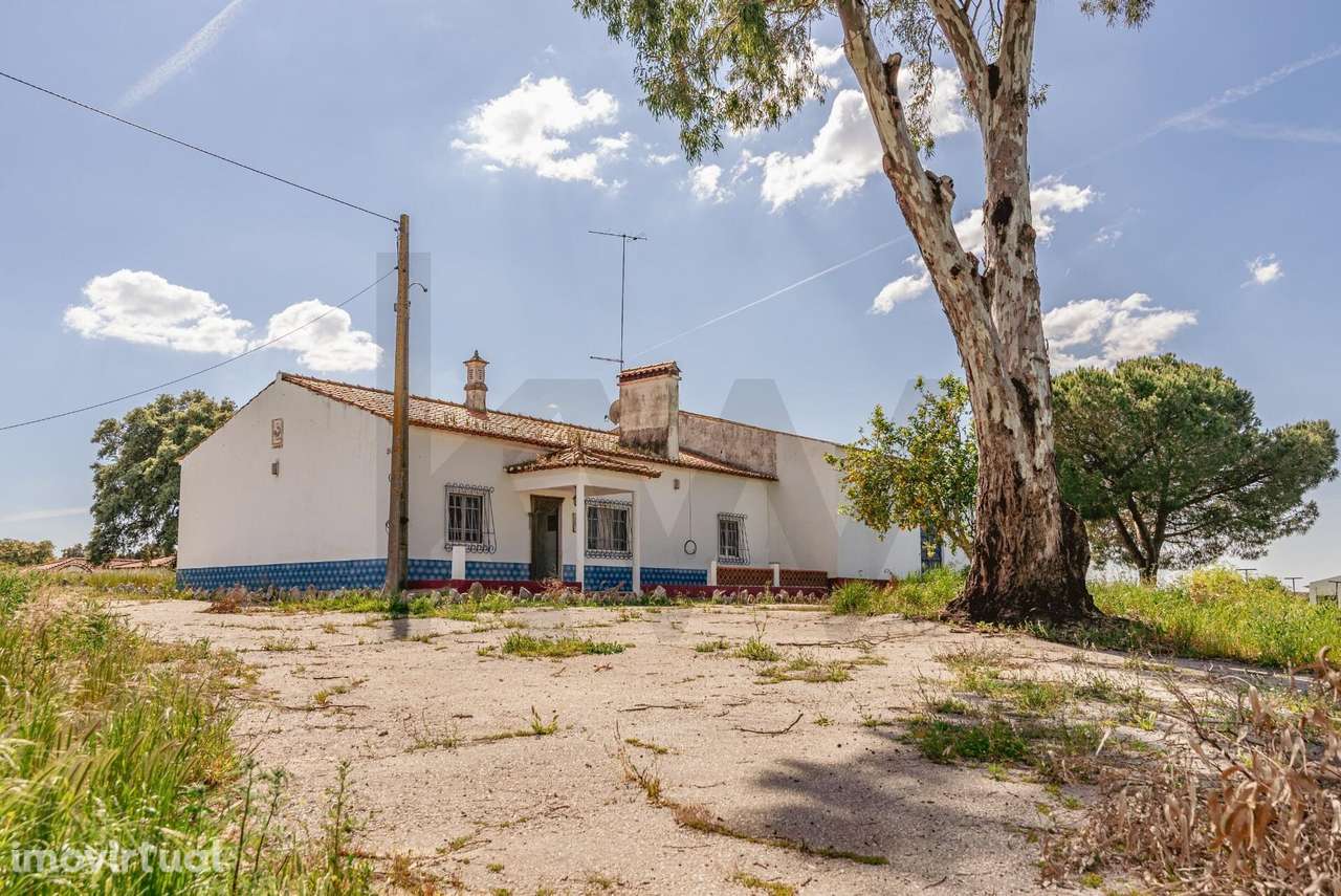 Propriedade no Alentejo criada para os aficionados d’arte equestre. - Grande imagem: 3/60