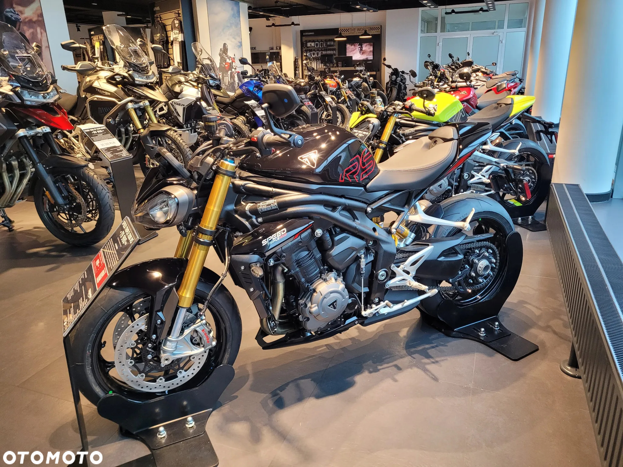 Triumph Speed Triple - 6