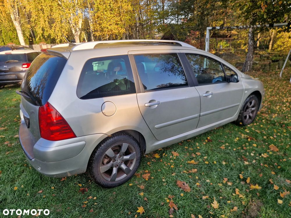 Peugeot 307 - 20