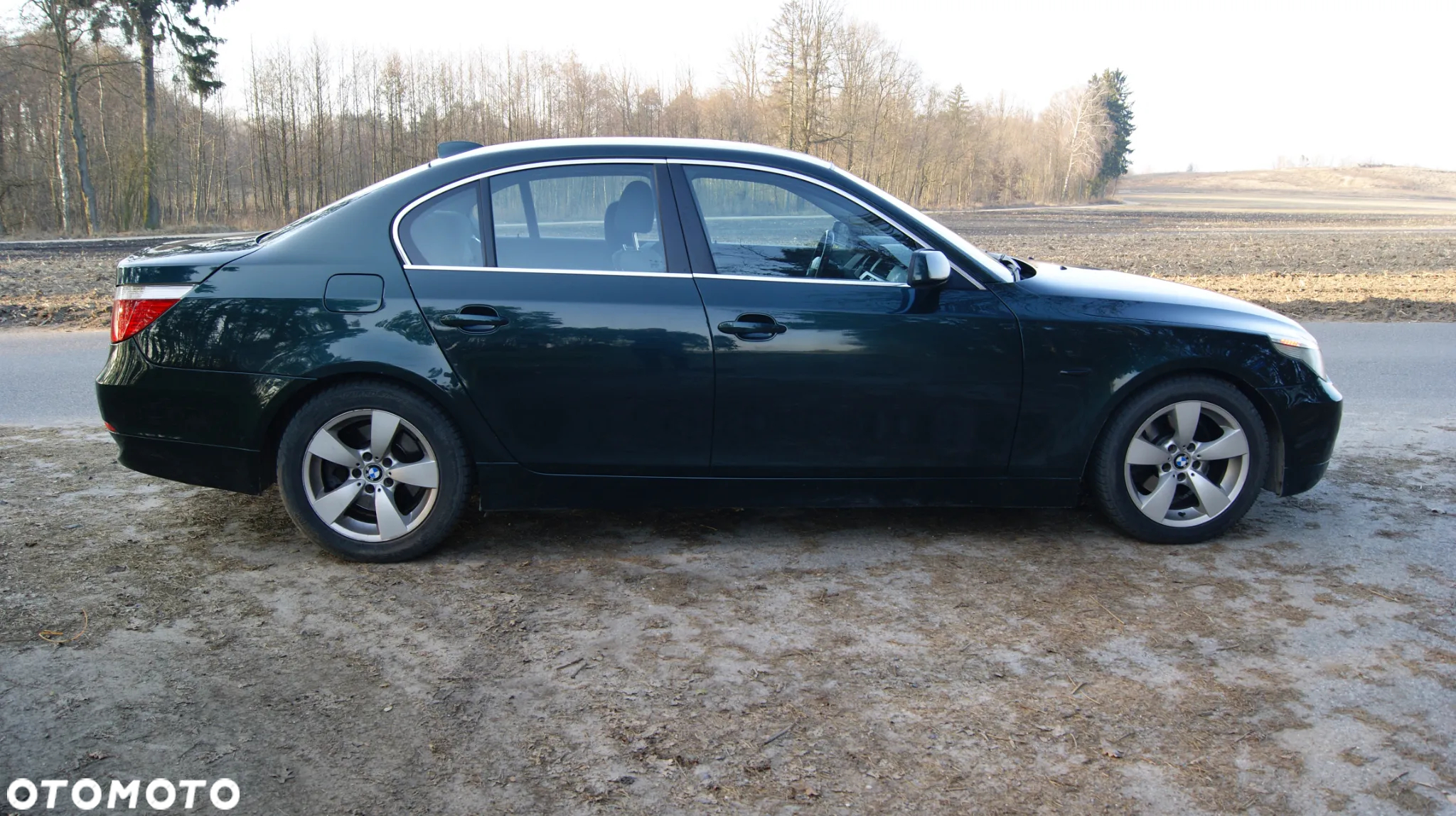 BMW Seria 5 520i - 8